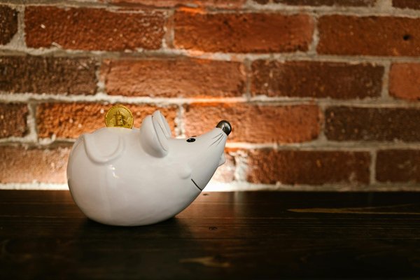 Comparateur assurance : économisez sur vos garanties indispensables